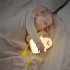 Cute Duck Shape Night Light With Warm Color Dimming Function 1200mah Rechargeable Lamp With 20  Timer Touch Control yellow mouth