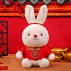 Cute Little Rabbit Plush Doll 2023 New Year Mascot Bunny Stuffed Plush Toys For Children Gifts Home Decoration C About 30cm