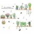 Cute Removable Green Plant Potted Pattern Wall Sticker Home Decoration XL7249