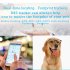 D35 Pet Locator Cat Dog Anti lost Collar Gps Tracker Remote Voice Monitoring With Lbs Wifi Locating System Waterproof Blue