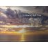 DJI Phantom 3 SE Drone is equipped with a stunning 4K camera and comes with an abundance of in flight features making it a high end video drone  