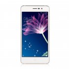 DOOGEE X10 Android 5 0 Inch Mobile Phones   8GB ROM  Dual SIM  MTK6570 1 3GHz  5 0MP  3360mAH   Gold