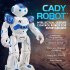 Dancing Remote Control Robot Intelligent Programming Gesture Sensing Automatic Presentation RC Robot Toys For Boys Girls Birthday Christmas New Year Toys Blue