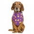 Decorative Scarf Printing Generic Pet Saliva Towel for Dogs and Cats 06 Pumpkin with purple background  single layer  Suitable for pets with a neck circumferenc