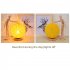 Desk Lamp Creative Bamboo Rattan Night Light USB Power Supply Table Lamp Bedroom Bedside Home Art Decorations For Children s Rooms Bedroom Living Room Dormitori