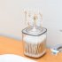 Desktop Storage  Box With Transparent Lid Tree  Shaped Table Organizer Antlers 9 13 5