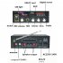 Digital Car Amplifier Kinter T1 Bluetooth Player 2x 25W DC12V 220V Karaoke Input 
