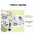 Digital Kitchen Timer With Large Display Adjustment Volume Levels Classroom Countdown Timer Battery Powered Timer green