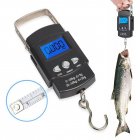 Digital Portable Fishing Scale 110lb/50kg Lcd Screen Portable Electronic Scale With Measuring Tape Ruler English