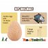 Dinosaur Eggs Digging Kit with 14 Dinosaur Toys for Kids Archaeology Paleontology Science Educational Gifts