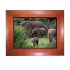 Discount Wholesale Digital Photo Frames Catalog   Order Digital Picture Frames Direct From China