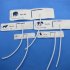Disposable Blood Pressure Cuff Non woven Fabric Animals Cuff Blood Pressure Monitor Supplies For Veterinary Animal size 2