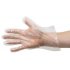 Disposable Gloves  Large  Clear  Pack of 50 