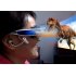 Dive into the world of 3D entertainment with the virtual reality 3D video glasses 