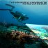 Diving Scuba Flashlight 1000 Lumens IPX8 Waterproof Super Bright XHP 70 LED Torch Rechargeable Flashlight For Snorkel Swimming D180 flashlight