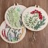 Diy Embroidery Starter Kit with Plants Flowers Pattern  Hoops Kit  Material package   20cm imitation bamboo embroidery stretch