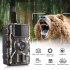 Dl001 Hunting Trail Camera 16mp Hd 1080p Wildlife Scouting Camera With 12m Night Vision Motion Sensor Ip66 Waterproof DL001 camera