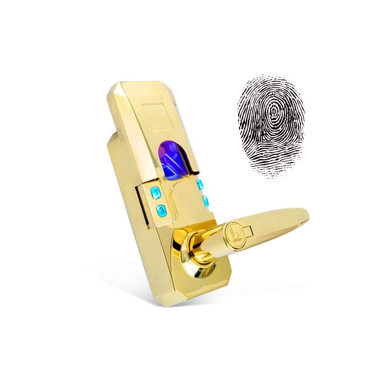 Fingerprint + Access Code Door Lock (Gold Edition)