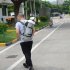 Dog Bag Carrier Pet Dog Backpack for Large Medium Small Dogs Breathable Travel Dog Bag for Riding Hiking gray L