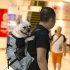 Dog Bag Carrier Pet Dog Backpack for Large Medium Small Dogs Breathable Travel Dog Bag for Riding Hiking gray L