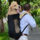 Dog Bag Carrier Pet Dog Backpack for Large Medium Small Dogs Breathable Travel Dog Bag for Riding Hiking black L