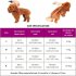 Dog Bag Carrier Pet Dog Backpack for Large Medium Small Dogs Breathable Travel Dog Bag for Riding Hiking blue L