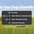 Dog Bark Collar  Rechargeable IP67 Waterproof Smart Bark Collar  High sensitivity Prevent Misjudgment Anti Barking Training Collar For Large Medium Small Dogs P