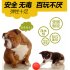 Dog Bite proof Ball Durable Pet Dog Chewing Ball Toy for Pet Training Supplies M
