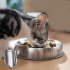 Dog Bowl Stainless Steel Dog Food Water Bowl With Anti slip Silicone Mat Anti Overthrow Pet Grain Basin For Dogs Puppy Cat Kitten Pet Supplies as shown 1 piece