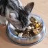 Dog Bowl Stainless Steel Dog Food Water Bowl With Anti slip Silicone Mat Anti Overthrow Pet Grain Basin For Dogs Puppy Cat Kitten Pet Supplies as shown 1 piece