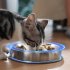 Dog Bowl Stainless Steel Dog Food Water Bowl With Anti slip Silicone Mat Anti Overthrow Pet Grain Basin For Dogs Puppy Cat Kitten Pet Supplies as shown 1 piece