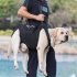 Dog Carry Sling  Dog Sling Carrier With Breathable Mesh  Pet Legs Support   Rehabilitation Dog Lift Harness  Dog Sling Carrier For Joint Injuries  Up And Down S