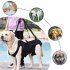Dog Carry Sling  Dog Sling Carrier With Breathable Mesh  Pet Legs Support   Rehabilitation Dog Lift Harness  Dog Sling Carrier For Joint Injuries  Up And Down S