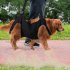 Dog Carry Sling  Dog Sling Carrier With Breathable Mesh  Pet Legs Support   Rehabilitation Dog Lift Harness  Dog Sling Carrier For Joint Injuries  Up And Down S