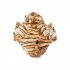 Dog Cat Costumes Pet Halloween Christmas Thanksgiving Cosplay Dress Hoodie Funny Outfits Clothes For Puppy Dogs Cats Brown M 0 11KG 