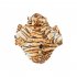 Dog Cat Costumes Pet Halloween Christmas Thanksgiving Cosplay Dress Hoodie Funny Outfits Clothes For Puppy Dogs Cats Brown M 0 11KG 