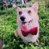Dog Collar Cat Collar With Bow Tie Detachable Adjustable Kitten   Small Dogs Collar For Christmas Daily Walks Training Family Picnics Weddings white L   40 55cm 