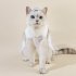 Dog Dress For Wedding Stylish Puppy Formal Apparel Princess Dress Bow Veil Crown Hairpin Set Birthday Party Valentine s Day Celebrations Dog Accessories Dress K