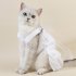 Dog Dress For Wedding Stylish Puppy Formal Apparel Princess Dress Bow Veil Crown Hairpin Set Birthday Party Valentine s Day Celebrations Dog Accessories Dress K