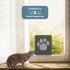 Dog Footprint Pattern Pet Cat Door Window Door Screen Doggie Flap Pet Supplies black 24cm 29cm  outer frame 