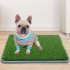 Dog Grass Pad With Tray Artificial Dog Grass Bathroom Turf Reusable Training Potty Pad Washable Training System Puppy Pee Pad For Balcony Apartment Indoor Outdo