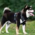 Dog Harness With D Rings Adjustable Explosion proof No Pull Reflective Design Oxford Cloth Harnesses Vest For Hiking Travel Camping Training black S