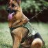Dog Harness With D Rings Adjustable Explosion proof No Pull Reflective Design Oxford Cloth Harnesses Vest For Hiking Travel Camping Training black S