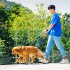 Dog Leash 3 Meters Automatic Retractable Anti slip Dog Harness Leash Pet Accessories For Pet Walking Gray cyan 3 meters