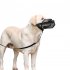 Dog Muzzle Soft Breathable Mesh Muzzles For Small Medium Large Dogs Puppy Muzzle For Scavenging Biting Licking Chewing With Dog Leashes Pet Supplies black L