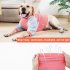 Dog Shirt Pullover Full Belly Coverage Anti hair Loss Sunscreen Striped Cotton Shirt For Medium Large Dog orange stripes M