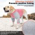 Dog Shirt Pullover Full Belly Coverage Anti hair Loss Sunscreen Striped Cotton Shirt For Medium Large Dog orange stripes M