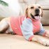 Dog Shirt Pullover Full Belly Coverage Anti hair Loss Sunscreen Striped Cotton Shirt For Medium Large Dog orange stripes M