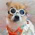 Dog Sunglasses  Dog Goggles With Ventilation Openings  UV Resistant Lenses  2 Adjustable Elastic Bands  Small Dog Sunglasses For Kittens And Puppies black