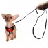 Dog Traction Rope Elegant Bow Dog Harness with Cloth Mesh Puppy Vest
